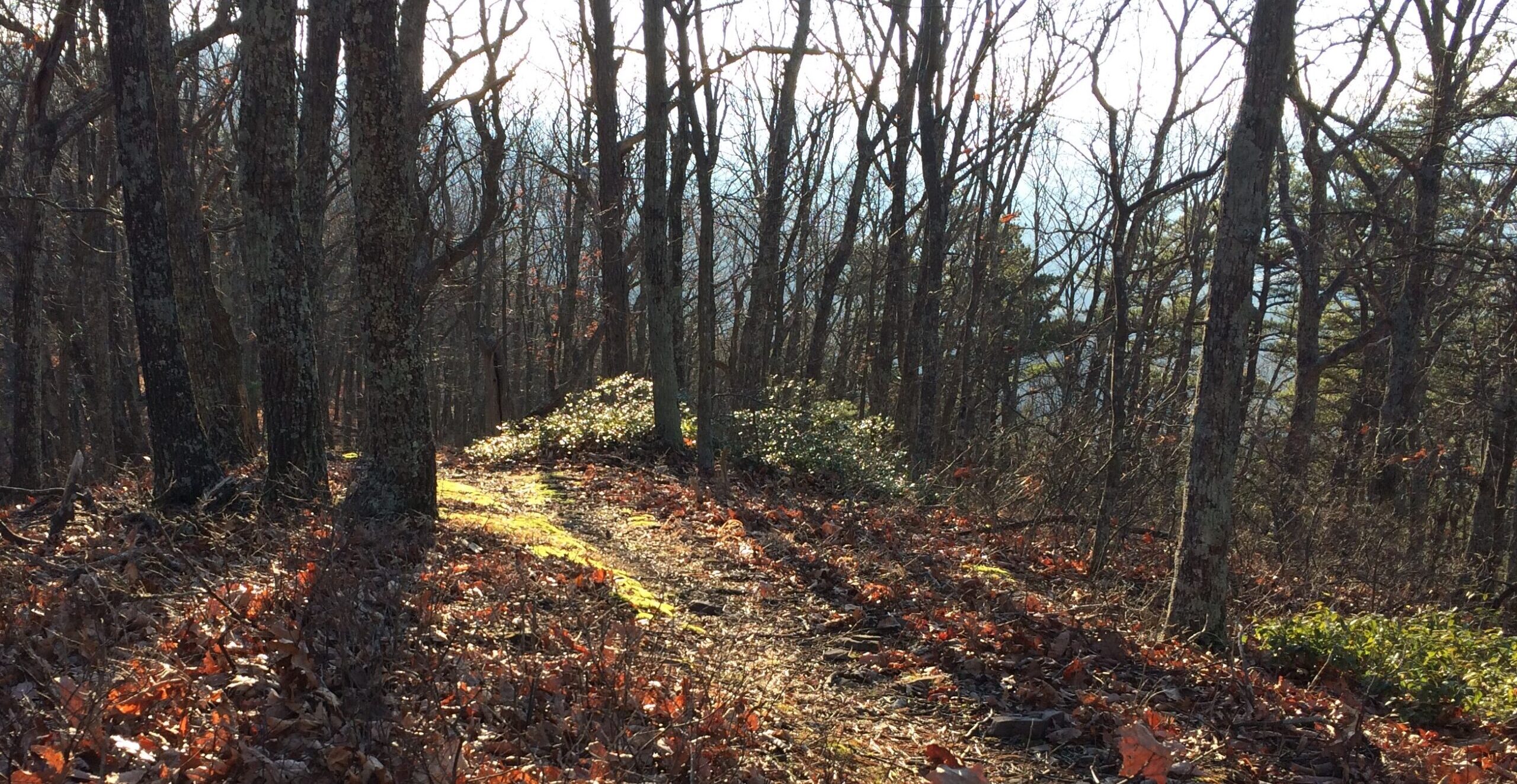 Trails in our county!